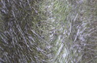 Nangreaves fibreglass roof work